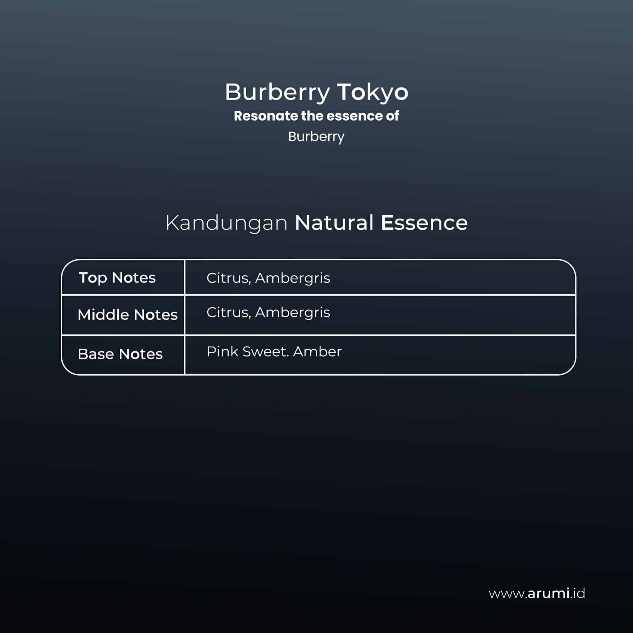 05.-kandungan-essence